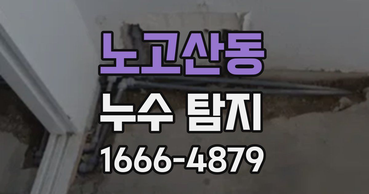 노고산동 누수 탐지