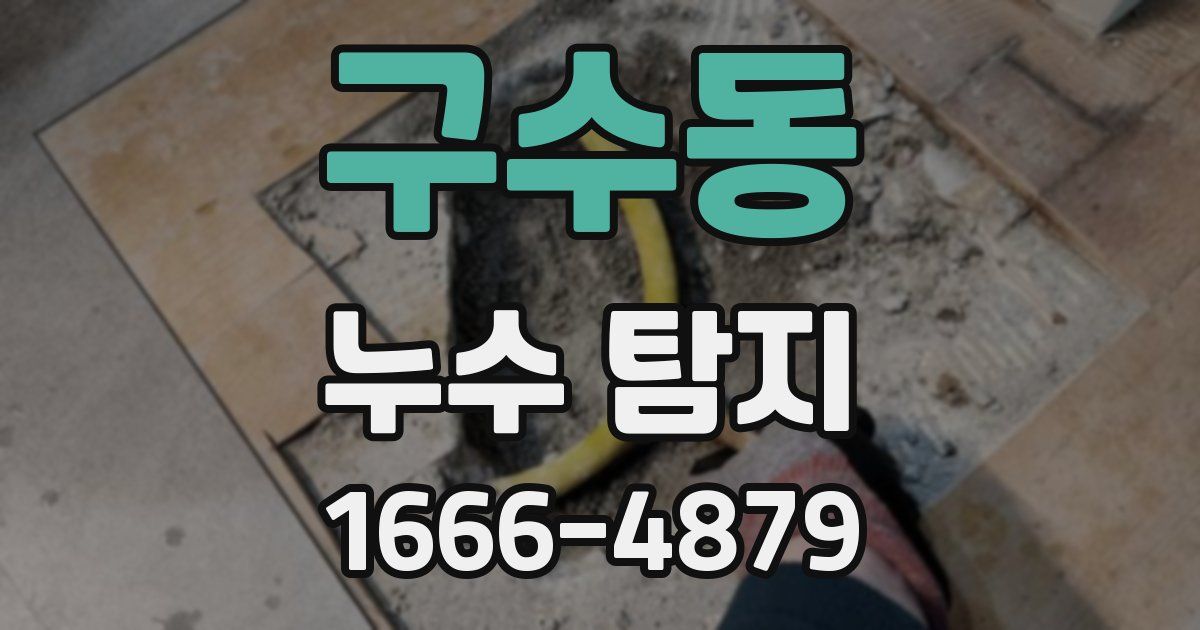 구수동 누수 탐지