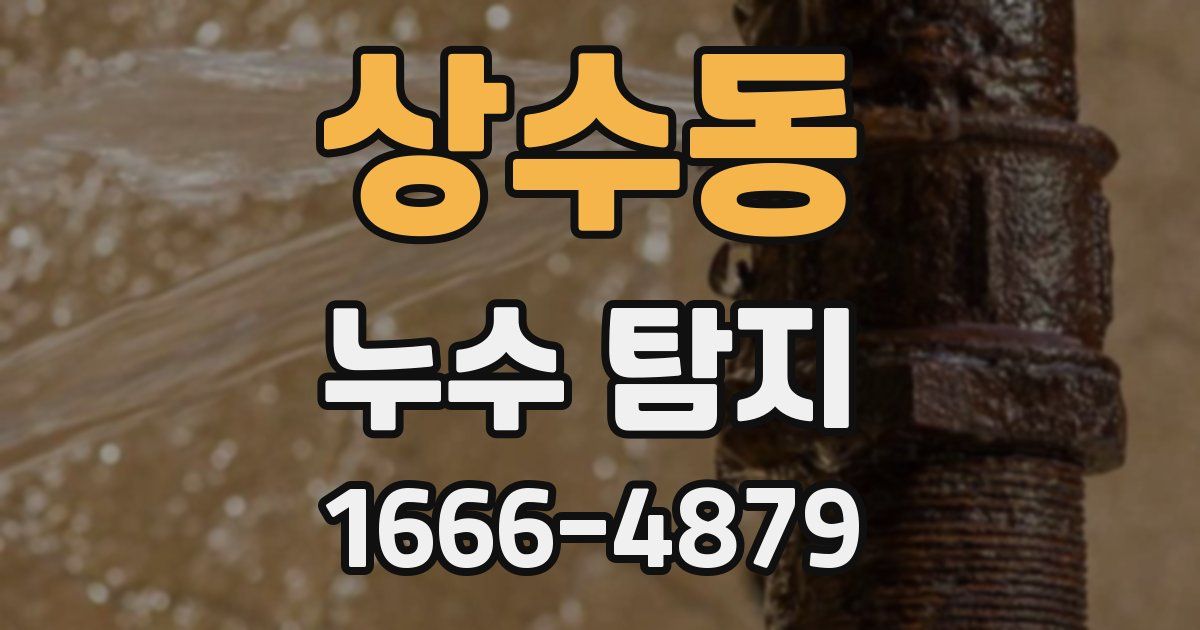 상수동 누수 탐지