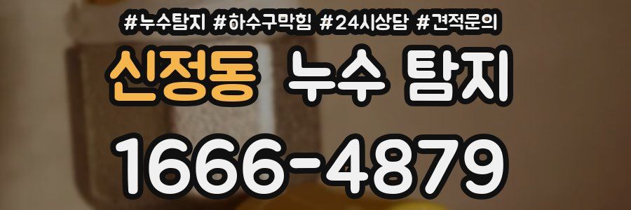 신정동 누수 탐지