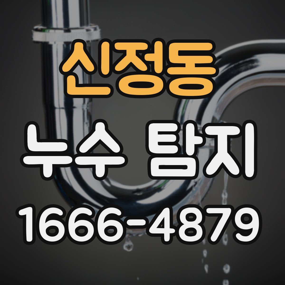 신정동 누수 탐지