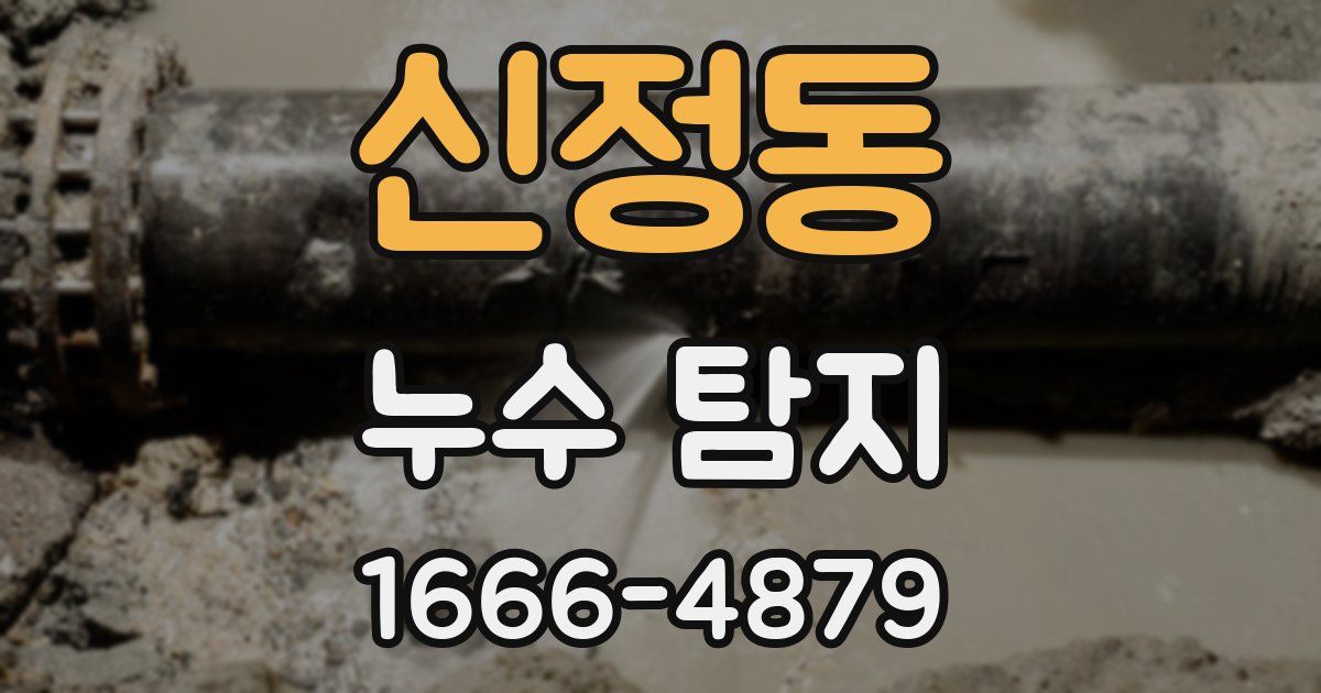 신정동 누수 탐지