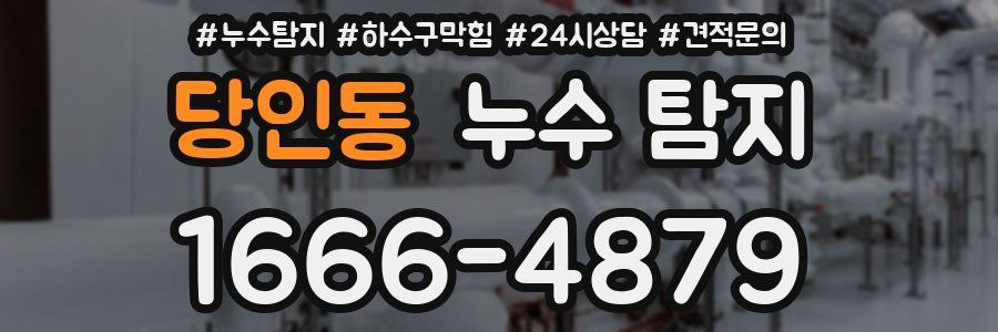 당인동 누수 탐지