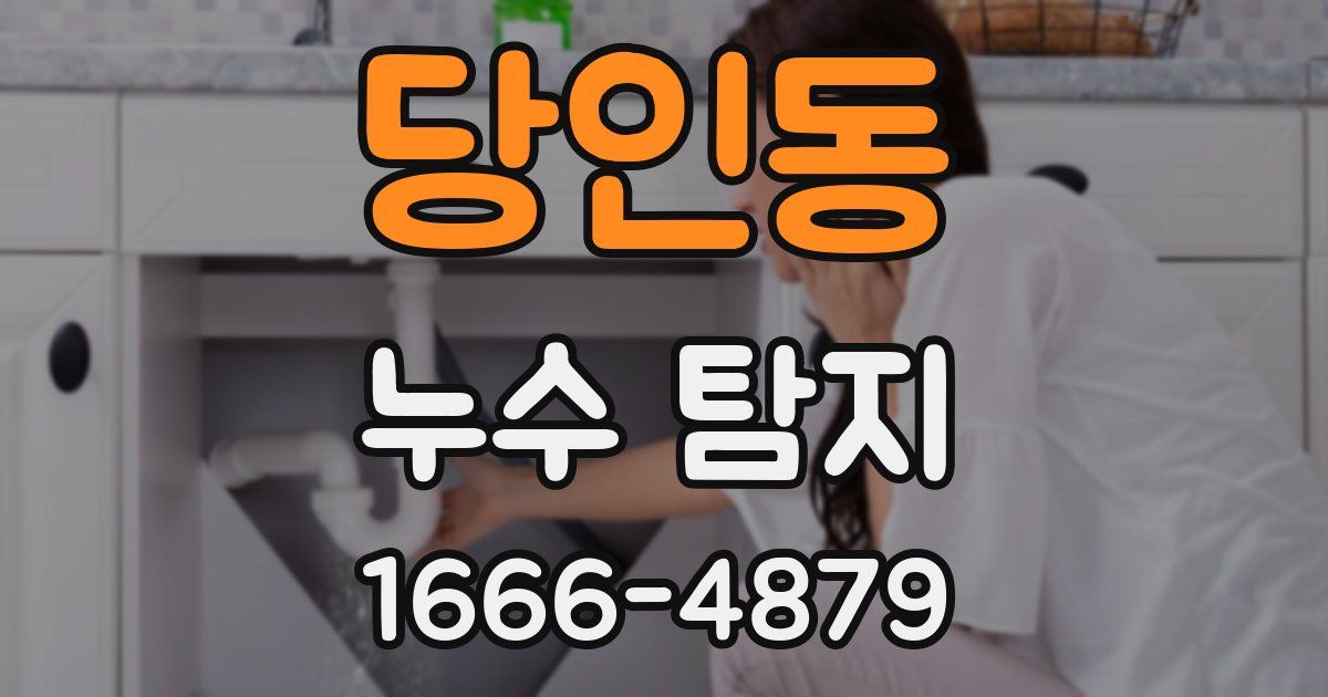 당인동 누수 탐지