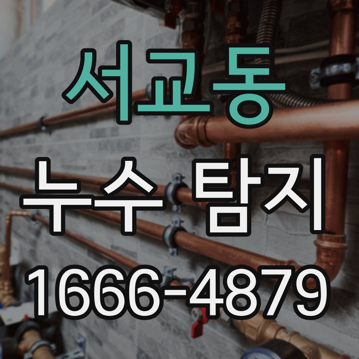 서교동 누수 탐지