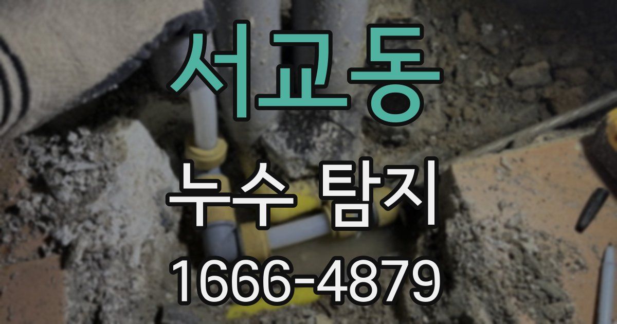 서교동 누수 탐지