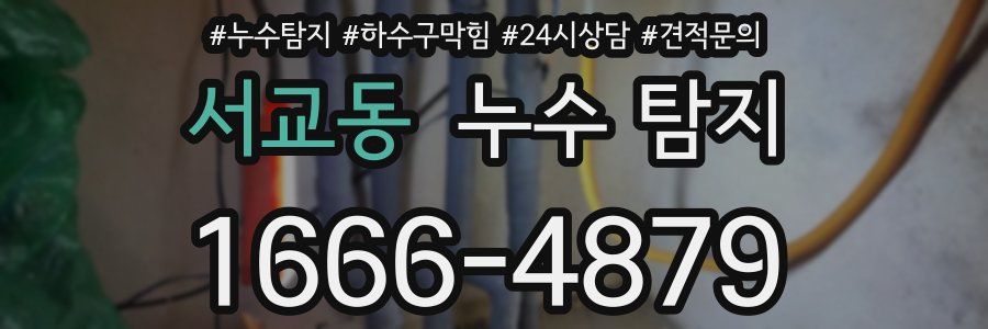 서교동 누수 탐지