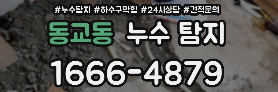 동교동 누수 탐지