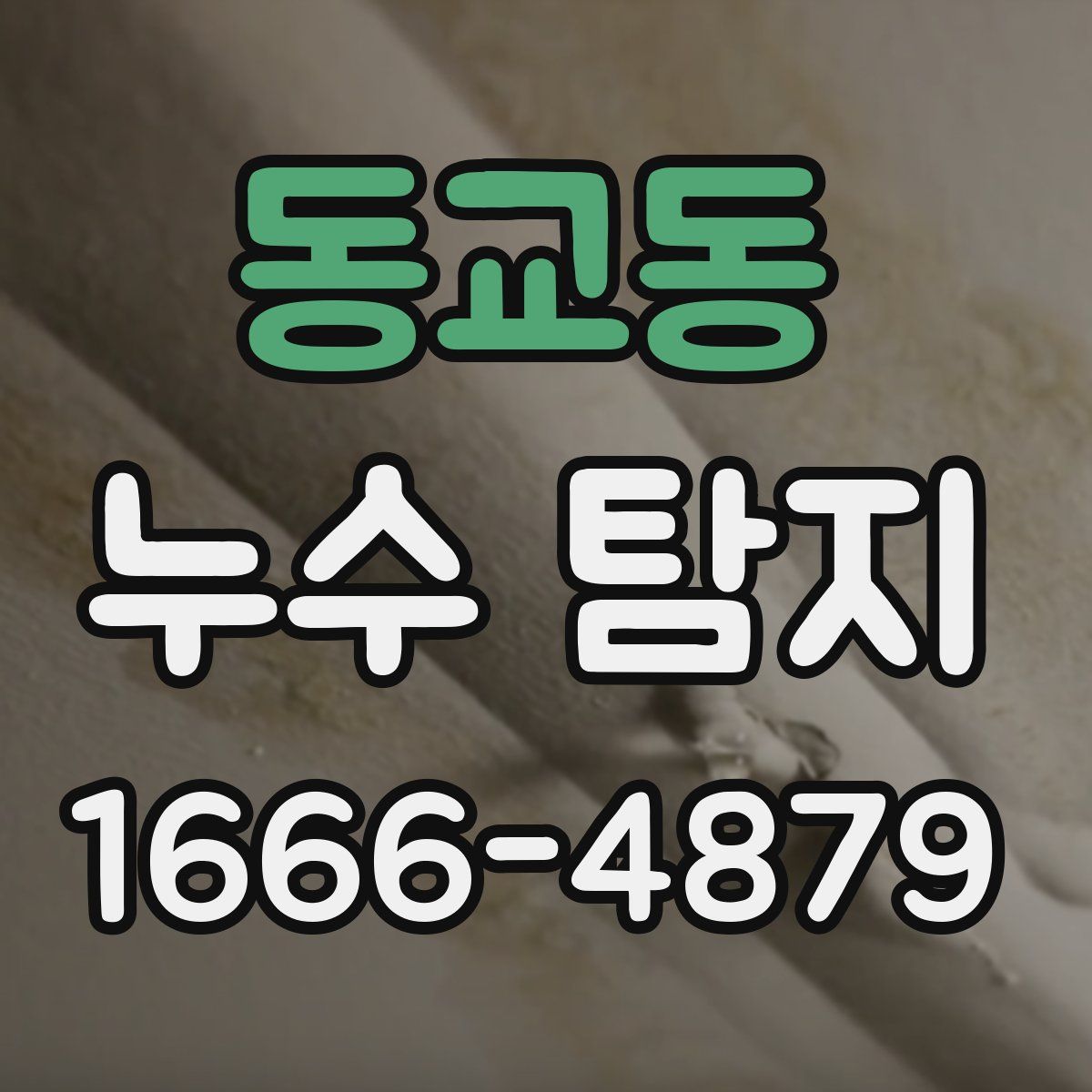 동교동 누수 탐지