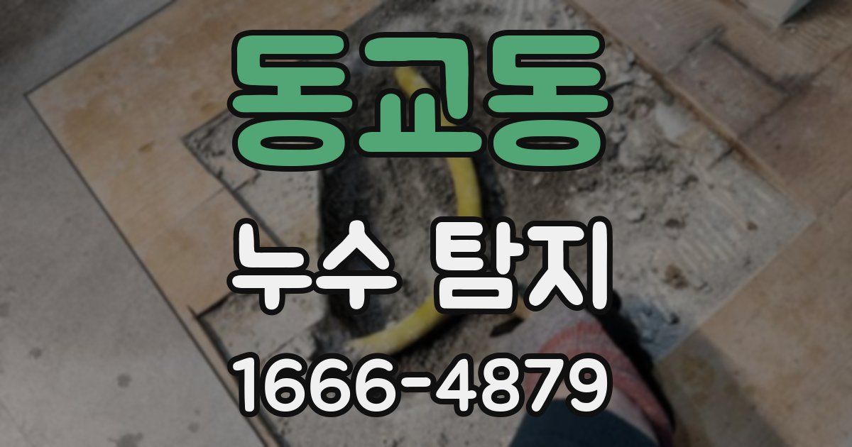 동교동 누수 탐지