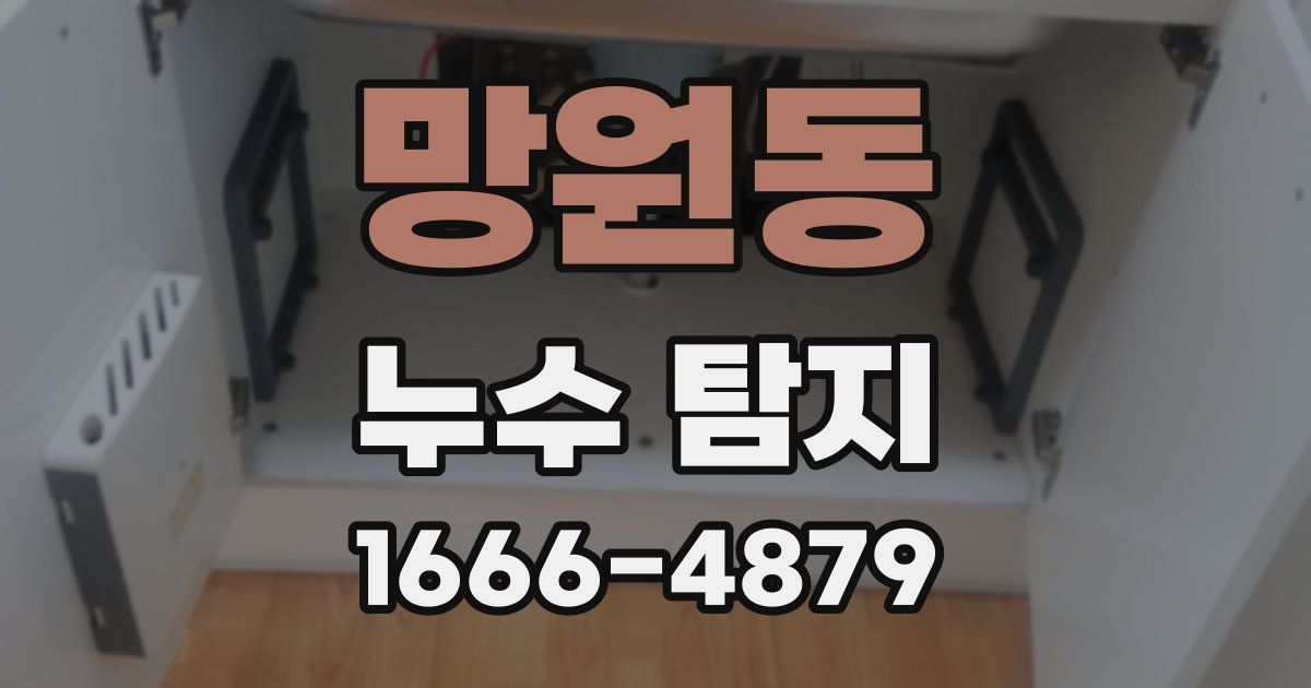 망원동 누수 탐지