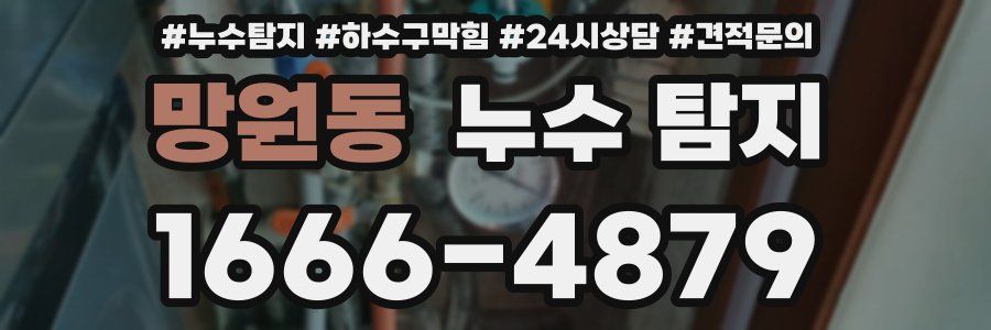망원동 누수 탐지