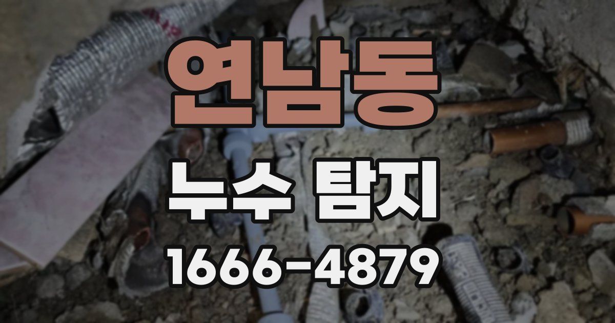 연남동 누수 탐지