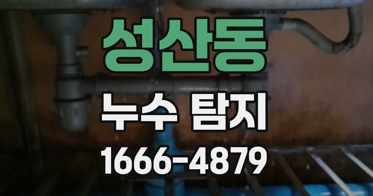 성산동 누수 탐지