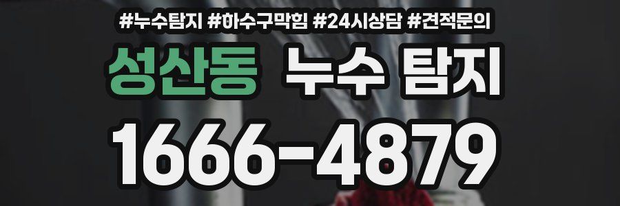성산동 누수 탐지