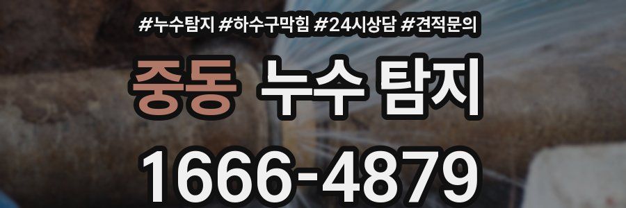 중동 누수 탐지