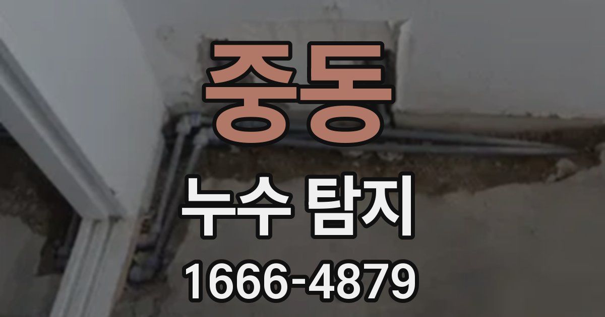 중동 누수 탐지