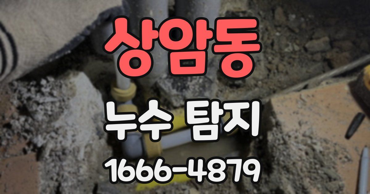 상암동 누수 탐지