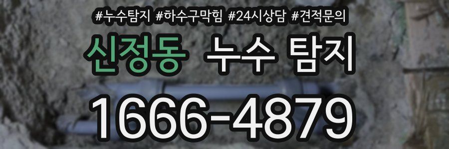 신정동 누수 탐지