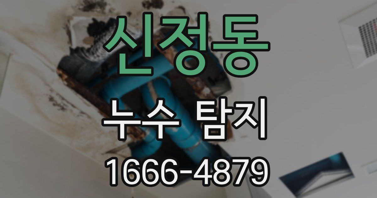 신정동 누수 탐지
