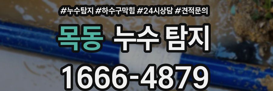 목동 누수 탐지