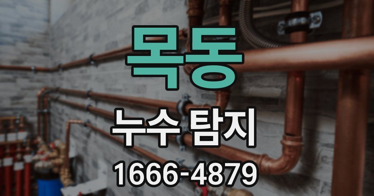 목동 누수 탐지