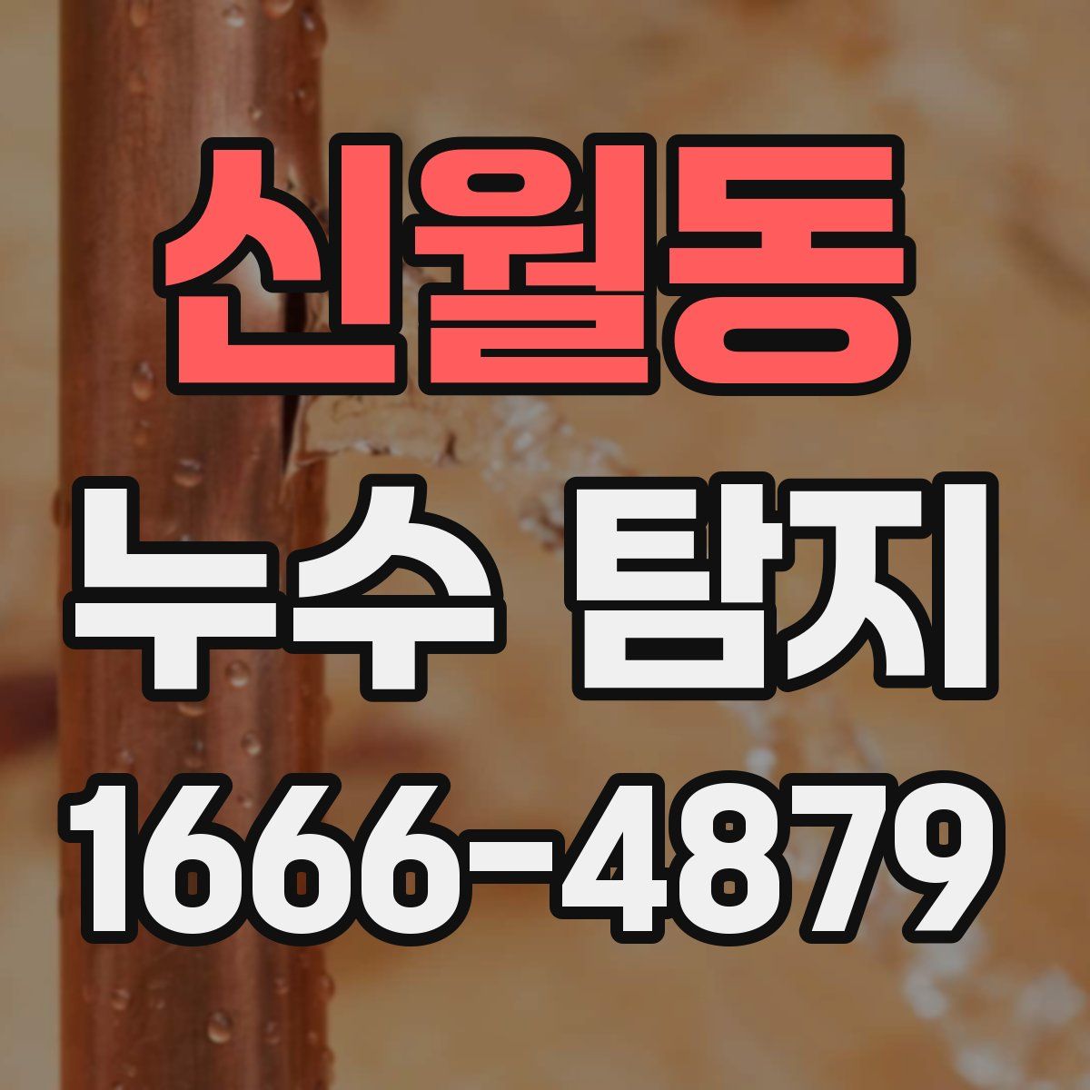 신월동 누수 탐지