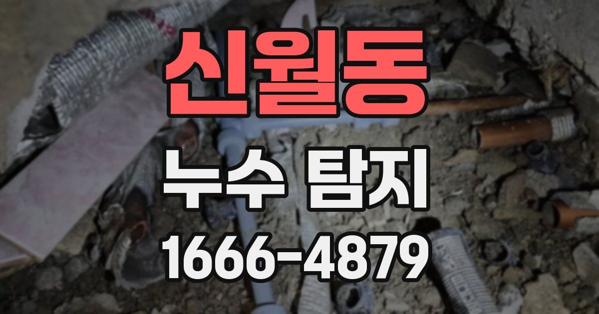 신월동 누수 탐지