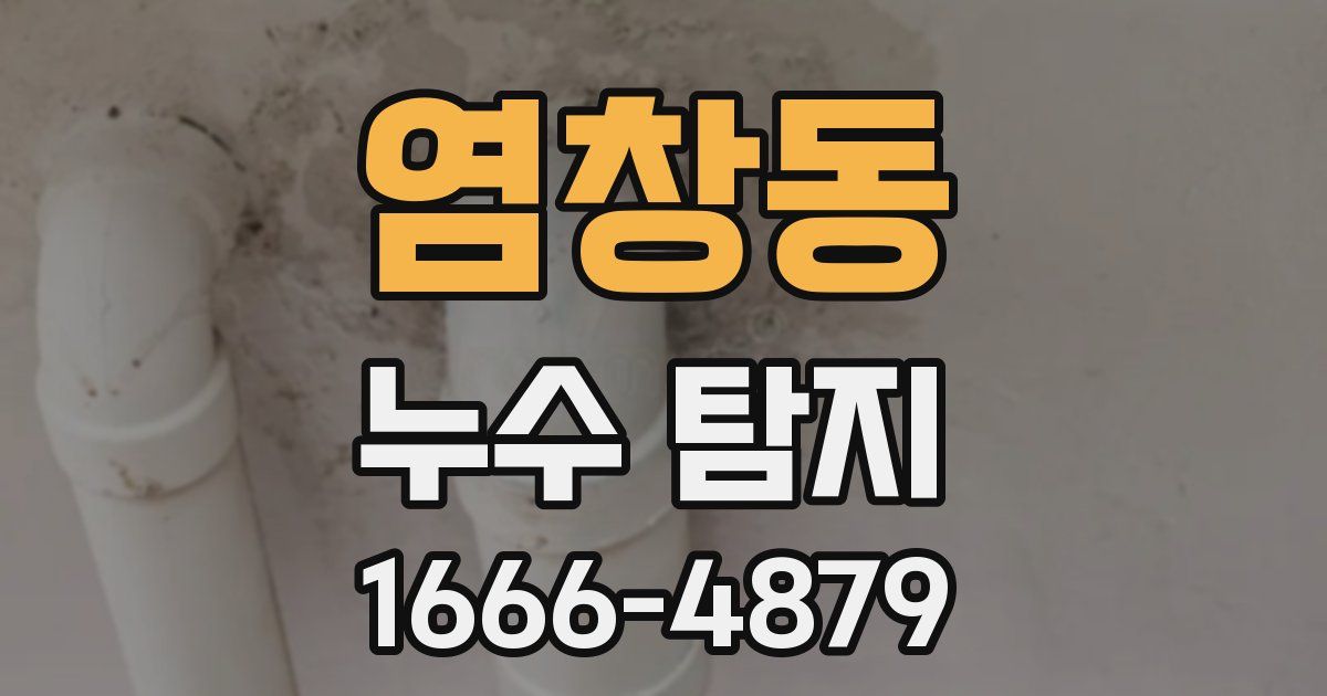 염창동 누수 탐지