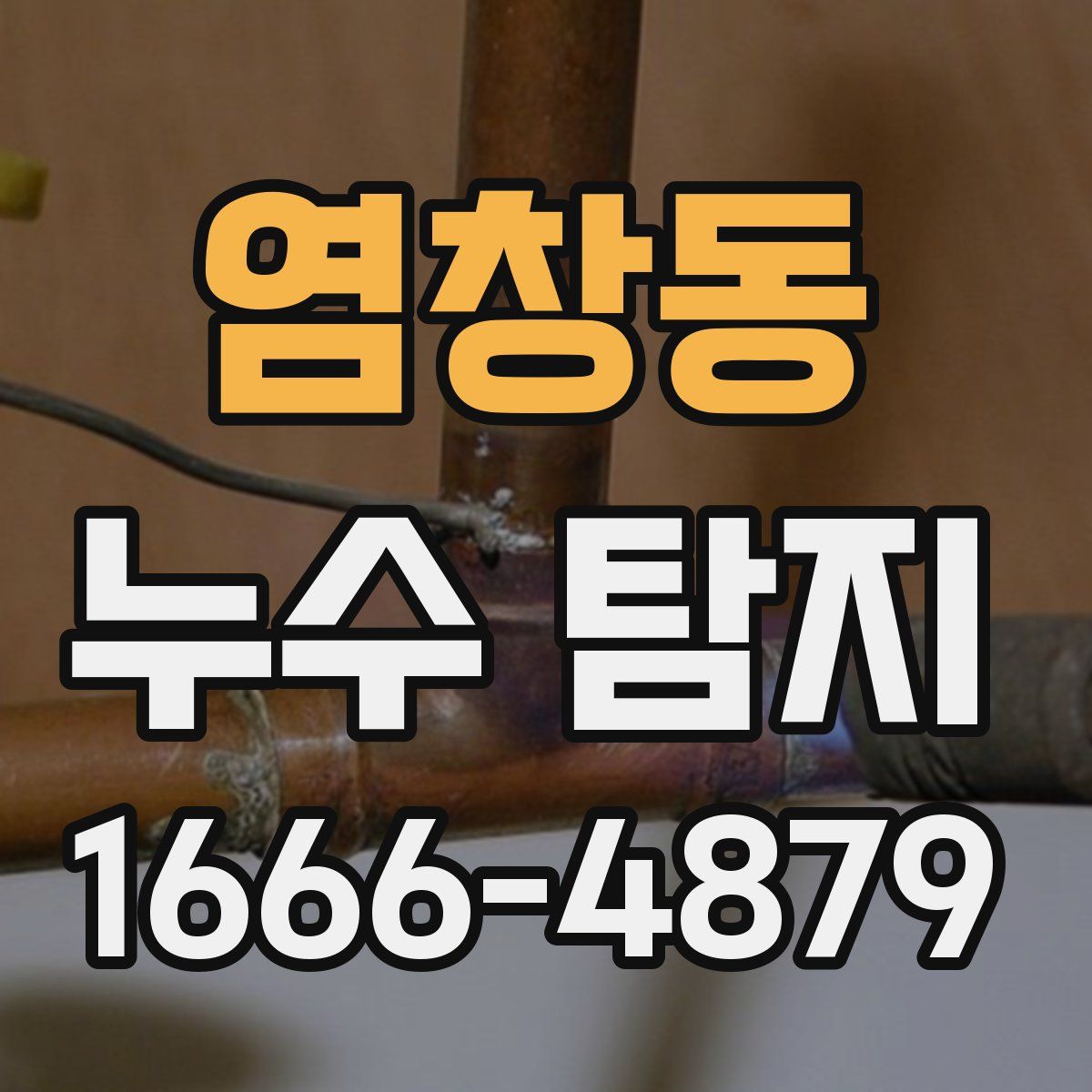 염창동 누수 탐지