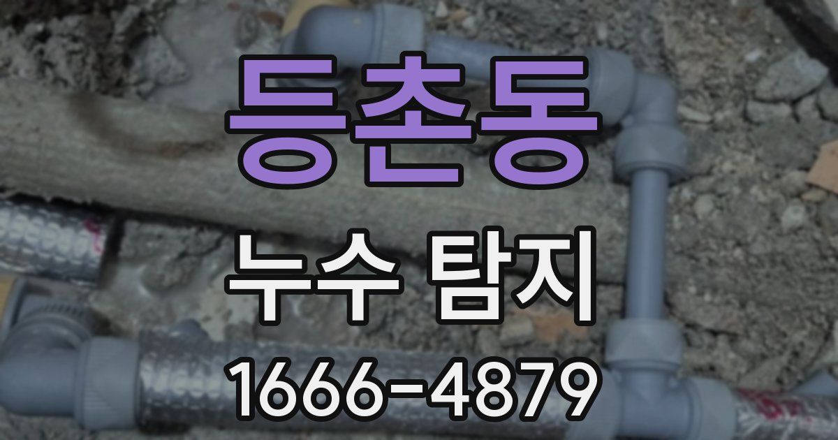 등촌동 누수 탐지