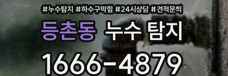 등촌동 누수 탐지