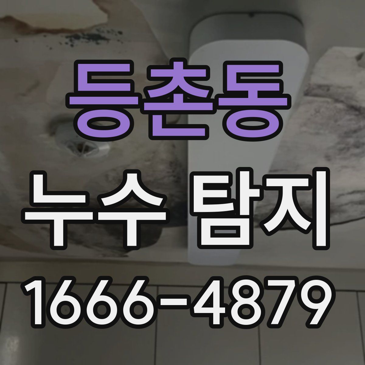 등촌동 누수 탐지