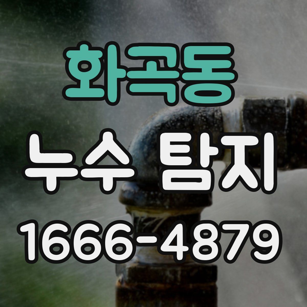화곡동 누수 탐지