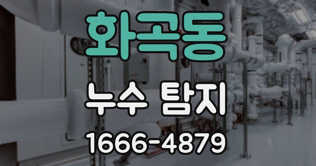 화곡동 누수 탐지