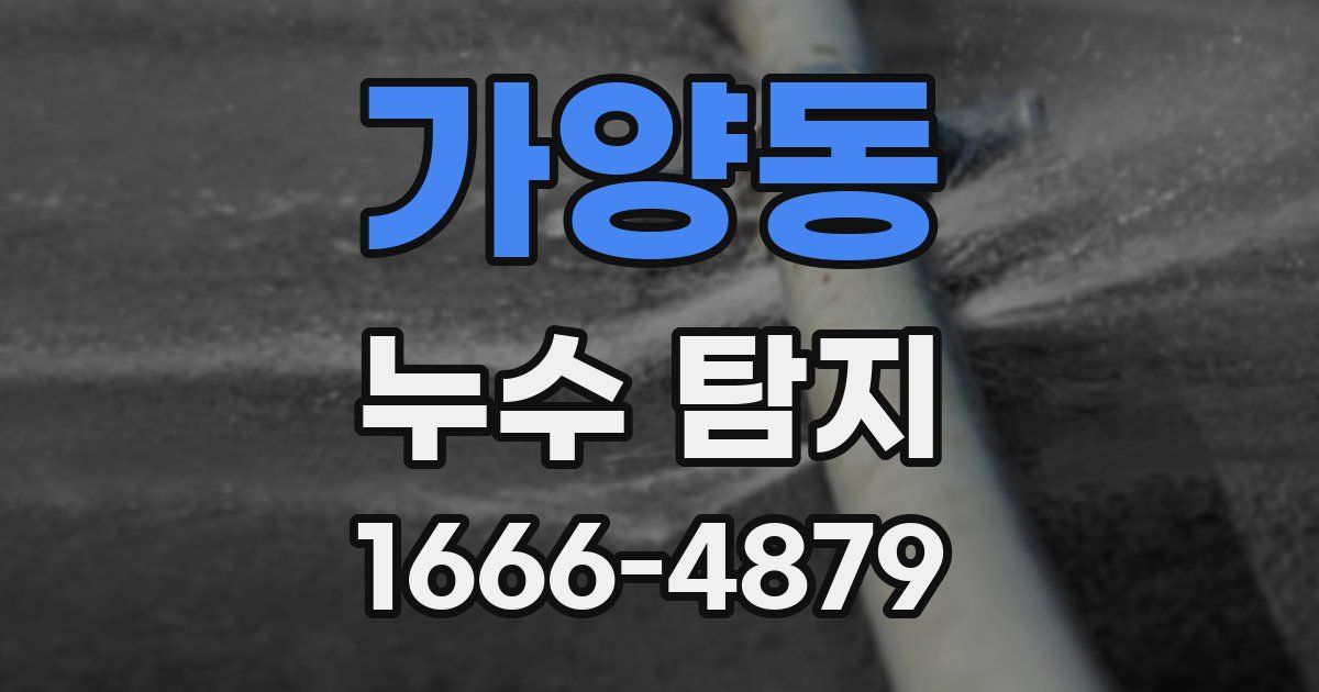 가양동 누수 탐지