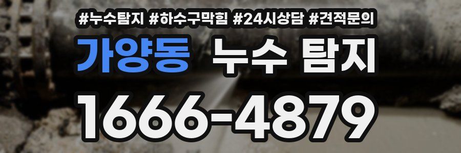 가양동 누수 탐지