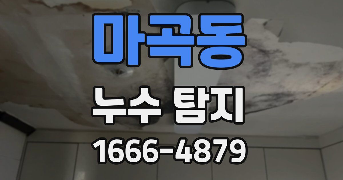 마곡동 누수 탐지