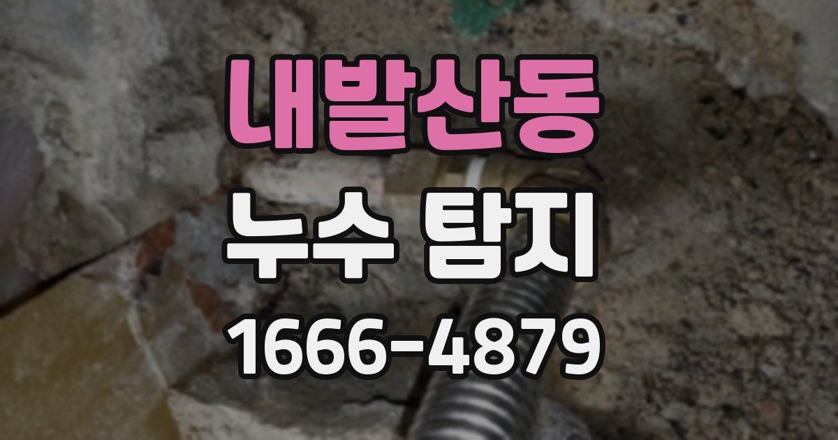 내발산동 누수 탐지