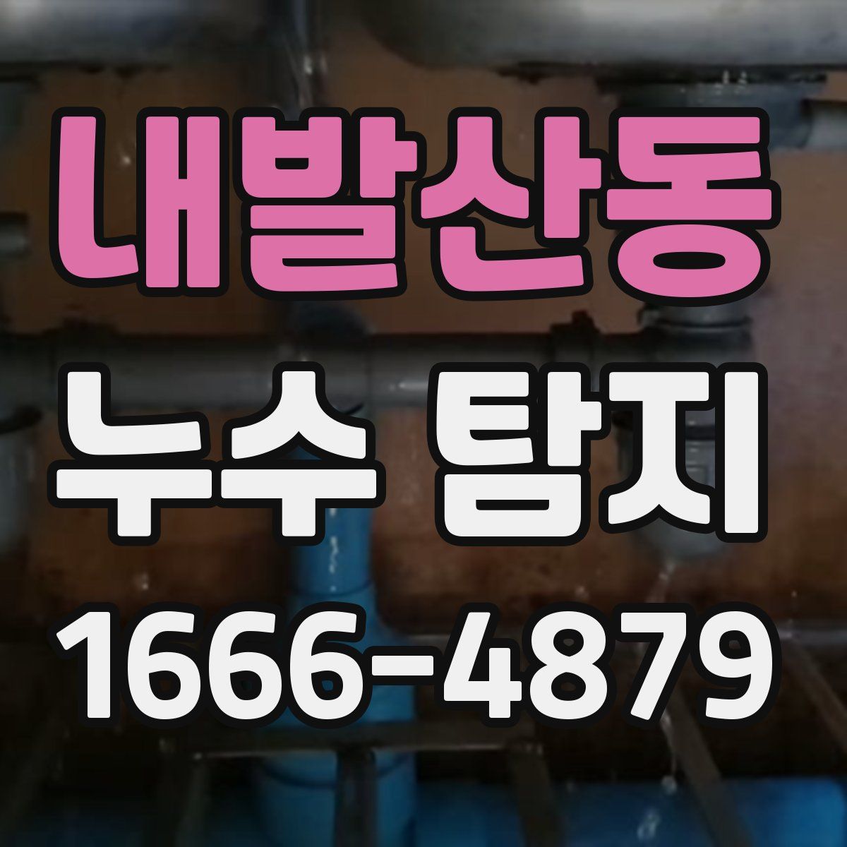 내발산동 누수 탐지