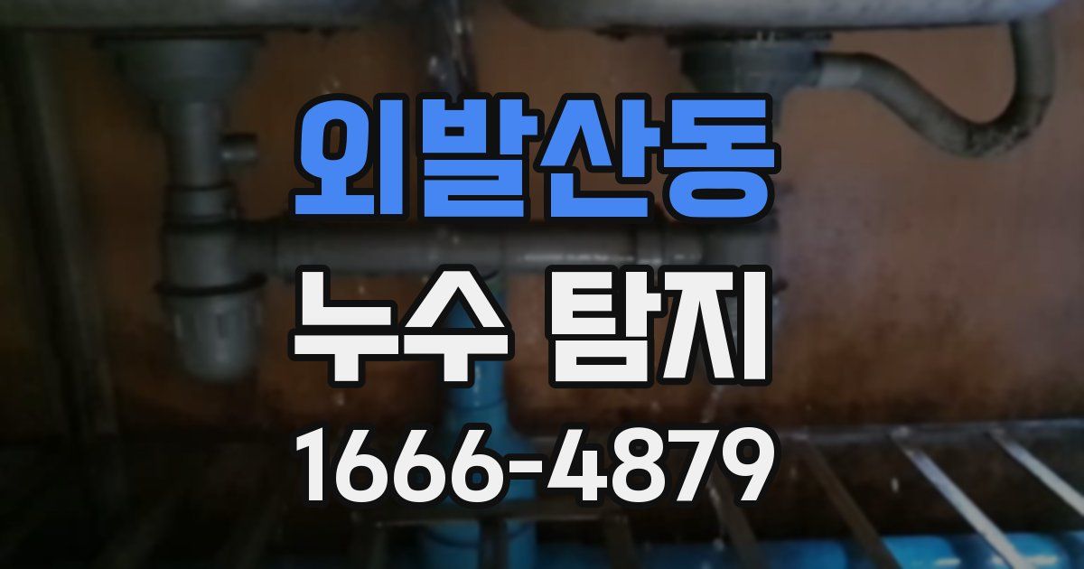 외발산동 누수 탐지