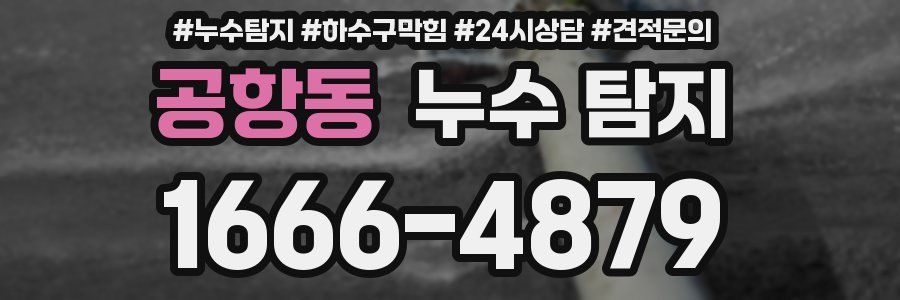 공항동 누수 탐지
