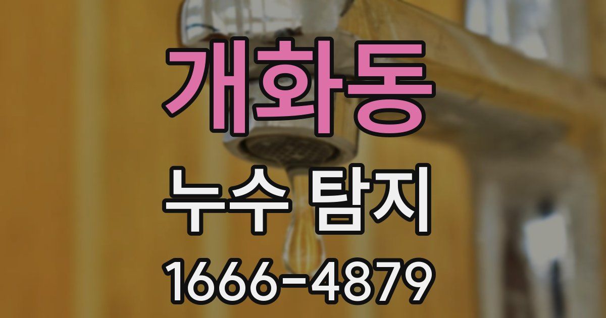 개화동 누수 탐지