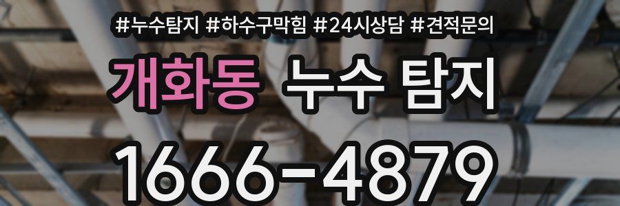 개화동 누수 탐지