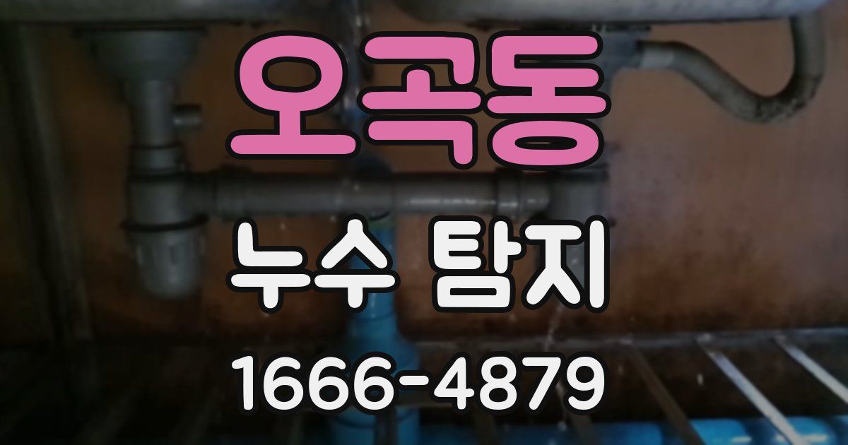 오곡동 누수 탐지