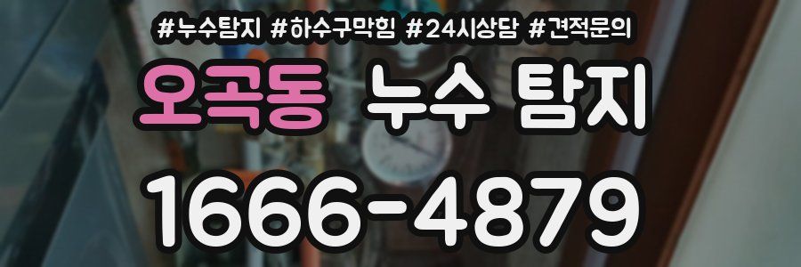 오곡동 누수 탐지