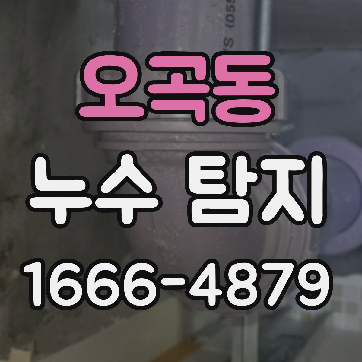 오곡동 누수 탐지