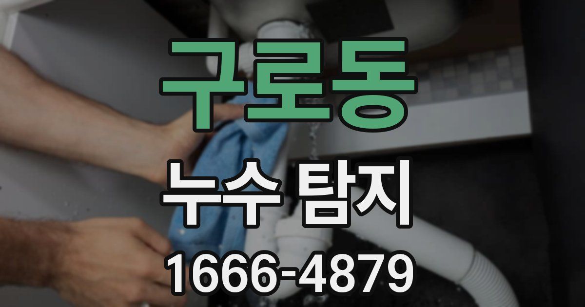 구로동 누수 탐지