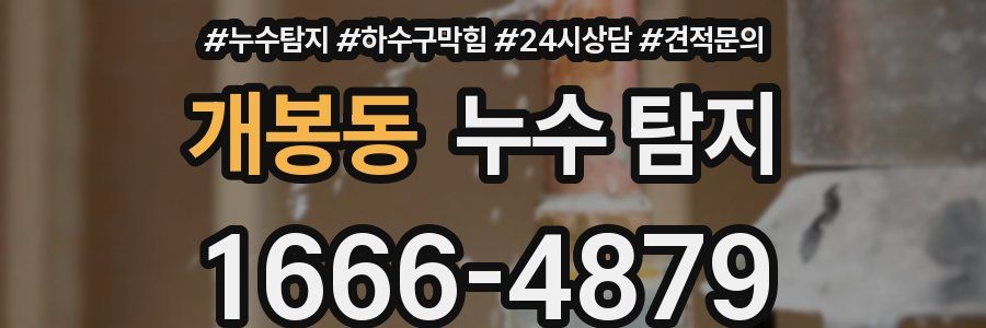 개봉동 누수 탐지