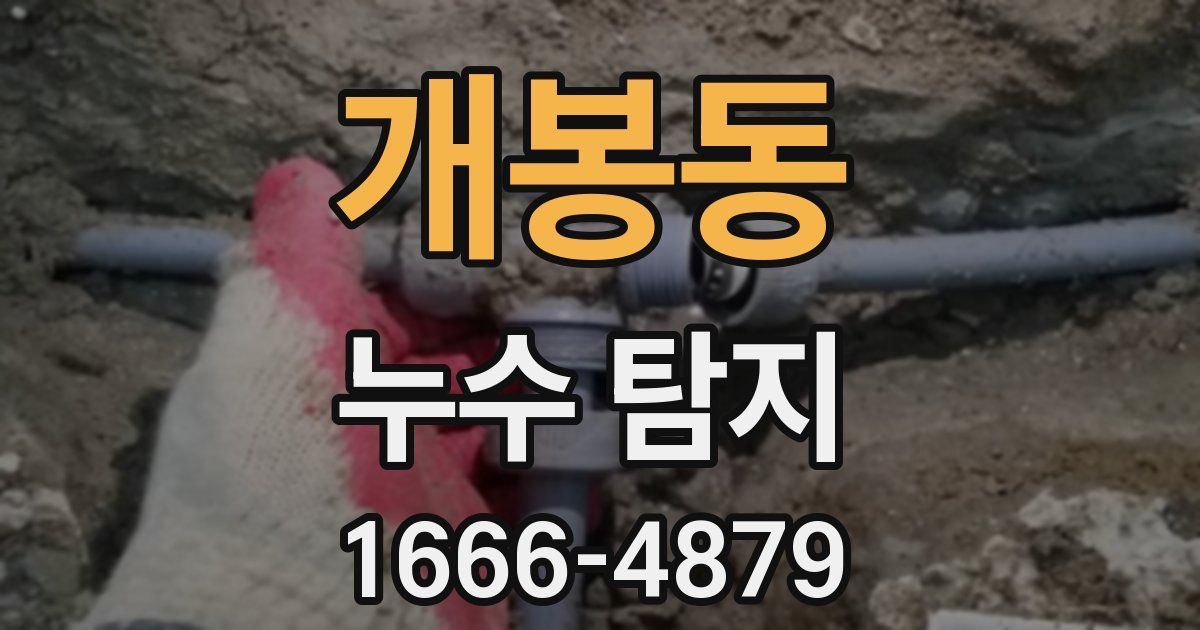 개봉동 누수 탐지